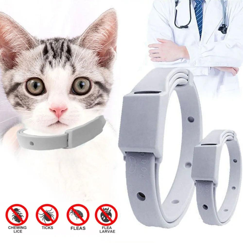 Cat collar anti flea best sale