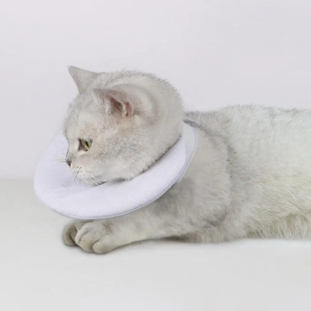 Cat Cone Collar Double Sided Use Fastener Tape Pet Recovery Collar Ant