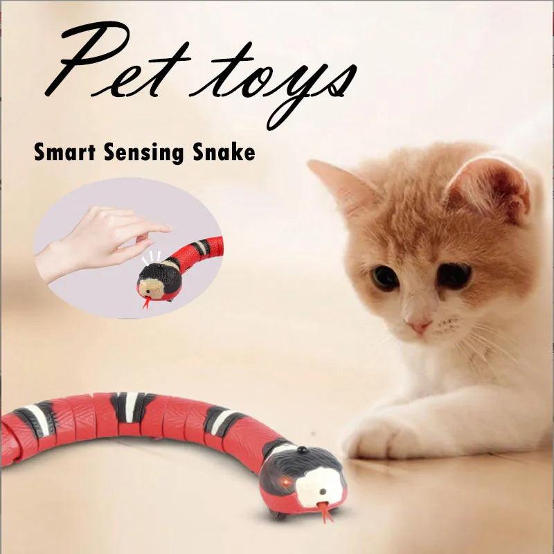 Kitten fashion toys and accessories