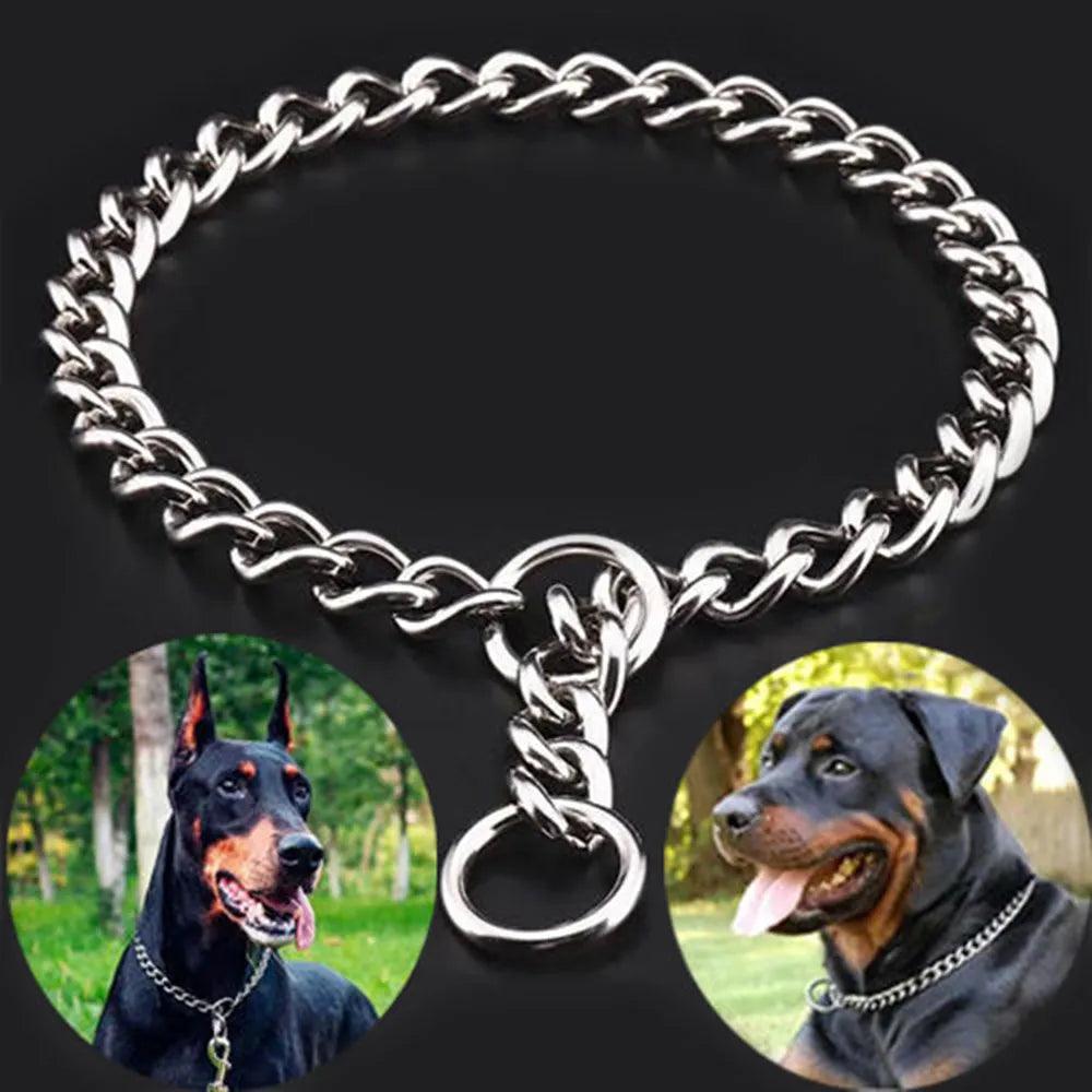 Chain training collar for dogs best sale