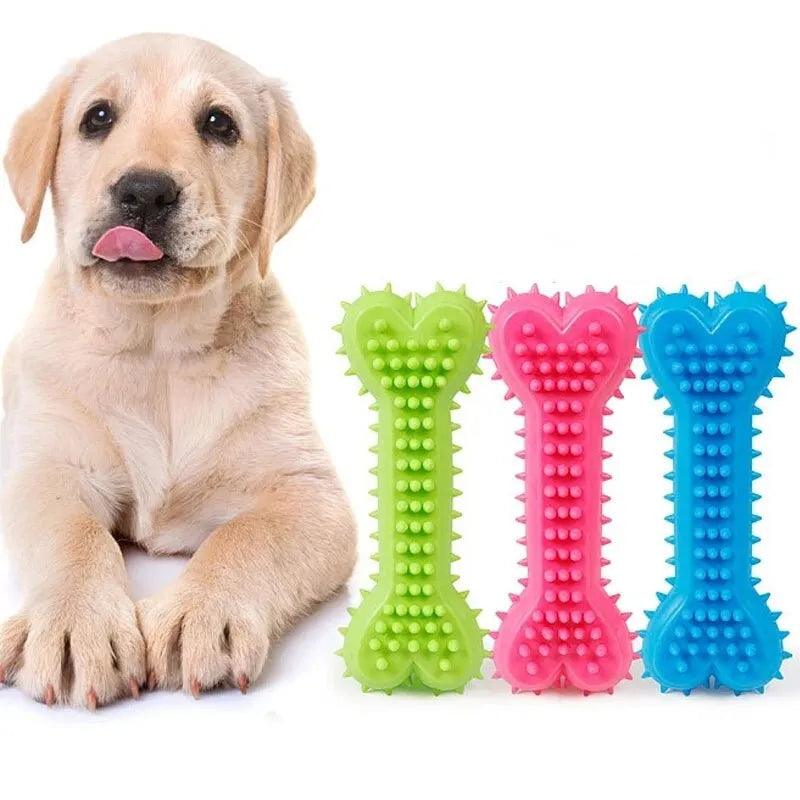 1PC Pet Chew Toy Soft Rubber Bite - resistance Bone Shape Teeth Grinding Chewing Toys for Small Dogs Training Pet Supplies - Ammpoure Wellbeing