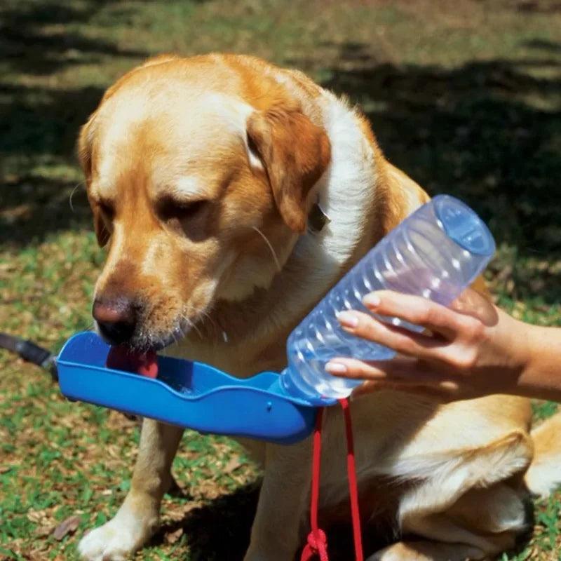 250ml Dog Water Bottle Folding Drinker Plastic Portable Water Bottle Pets Outdoor Travel Drinking Water Feeder Bowl for Dogs - Ammpoure Wellbeing