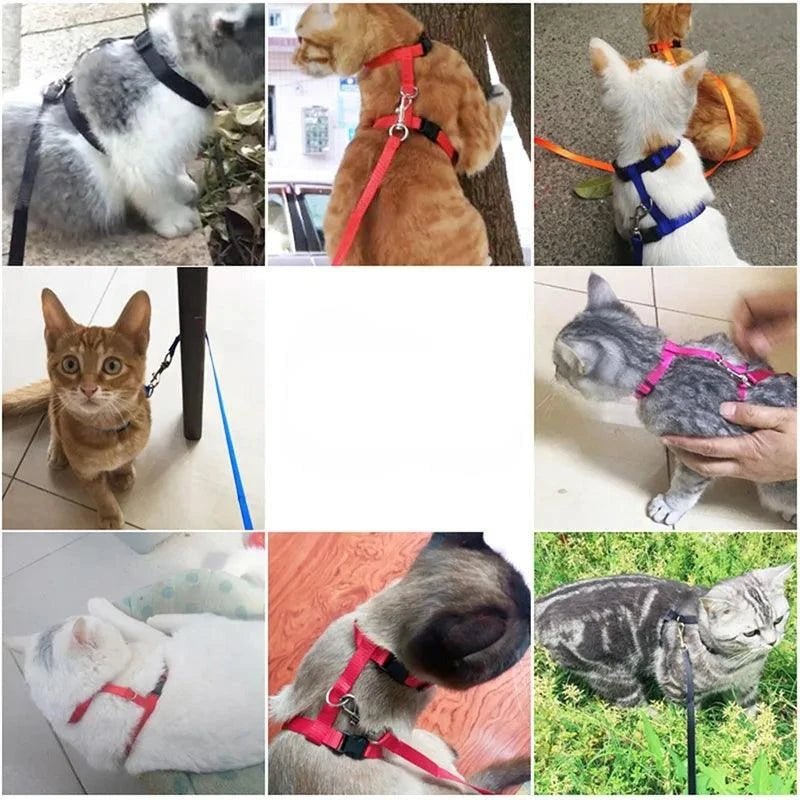Adjustable Cat Harness Nylon Strap Collar with Leash Escape Proof Kitten Collar for Walking Small Pet Rabbit Lightweight Harness - Ammpoure Wellbeing