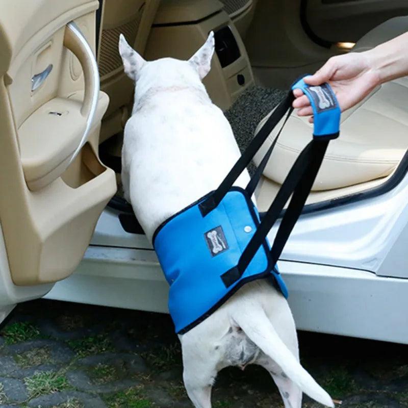 Adjustable Dog Lift Sling Harness For Back Legs Pet Support Sling Help Weak Legs Stand Up Pet Dogs Aid Assist Tool For Old Dogs - Ammpoure Wellbeing