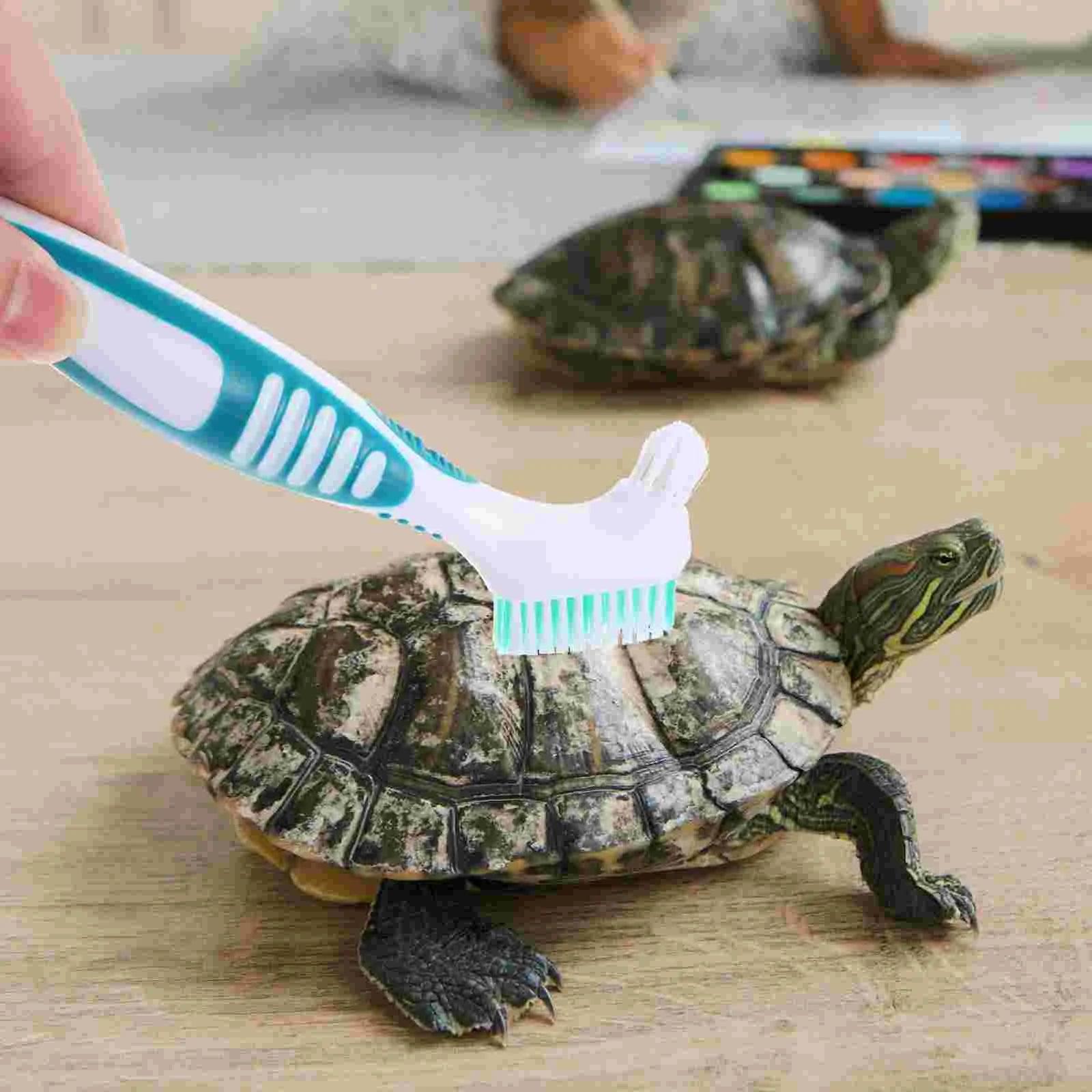 Aquatic Turtle Cleaning Brush Tortoise Shell Mud Clean Brush Turtle Shell Cleaning Tool - Ammpoure Wellbeing