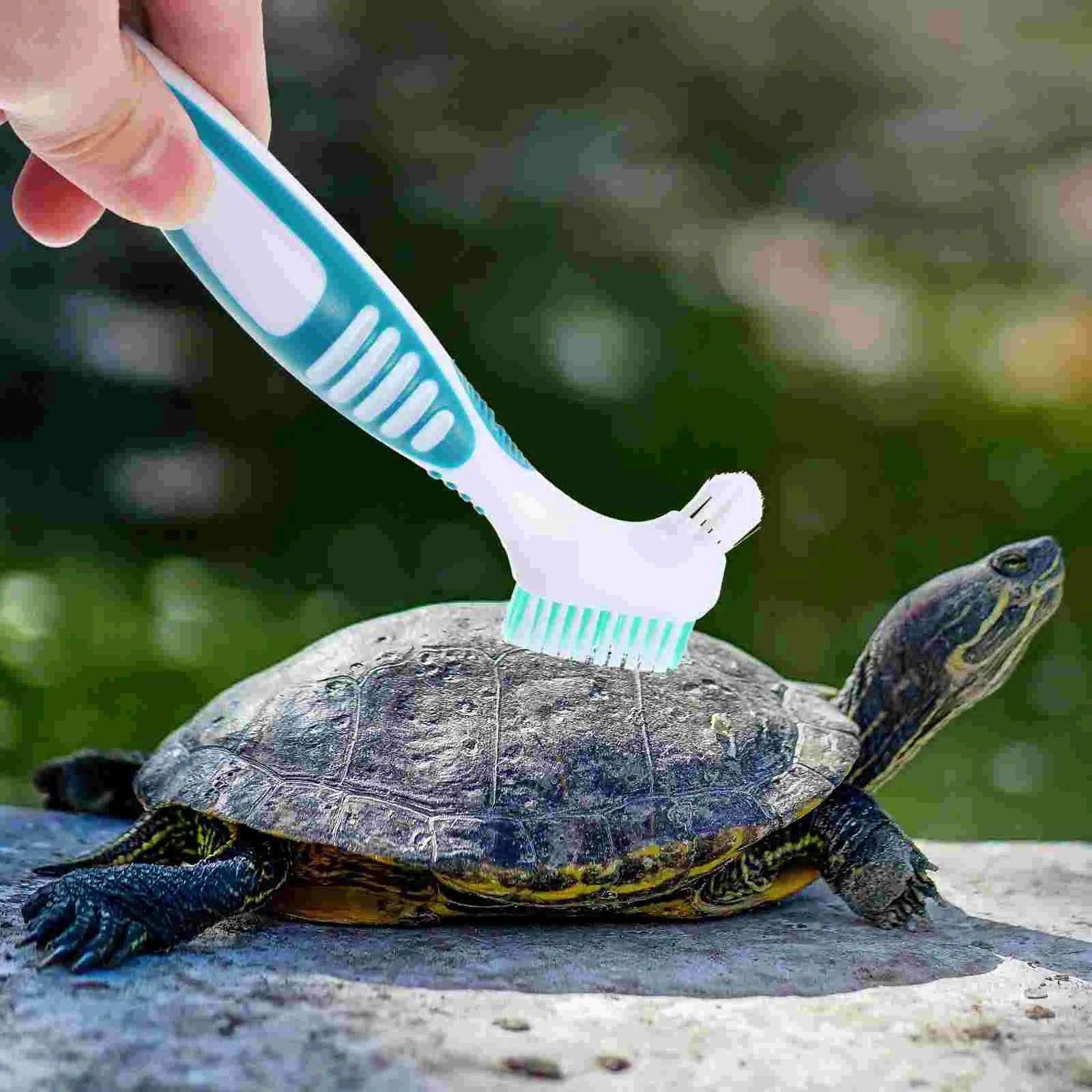 Aquatic Turtle Cleaning Brush Tortoise Shell Mud Clean Brush Turtle Shell Cleaning Tool - Ammpoure Wellbeing