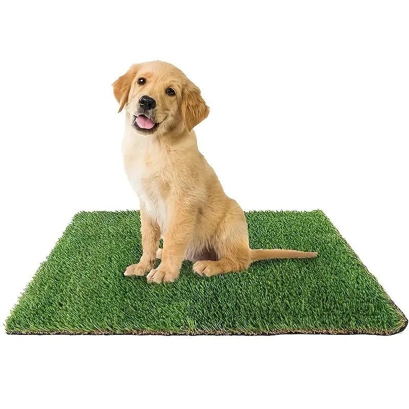 Artificial Grass Dog Potty Pad - Easy to Clean, Odor Resistant,Indoor/Outdoor Pet Training Solution - Ammpoure Wellbeing