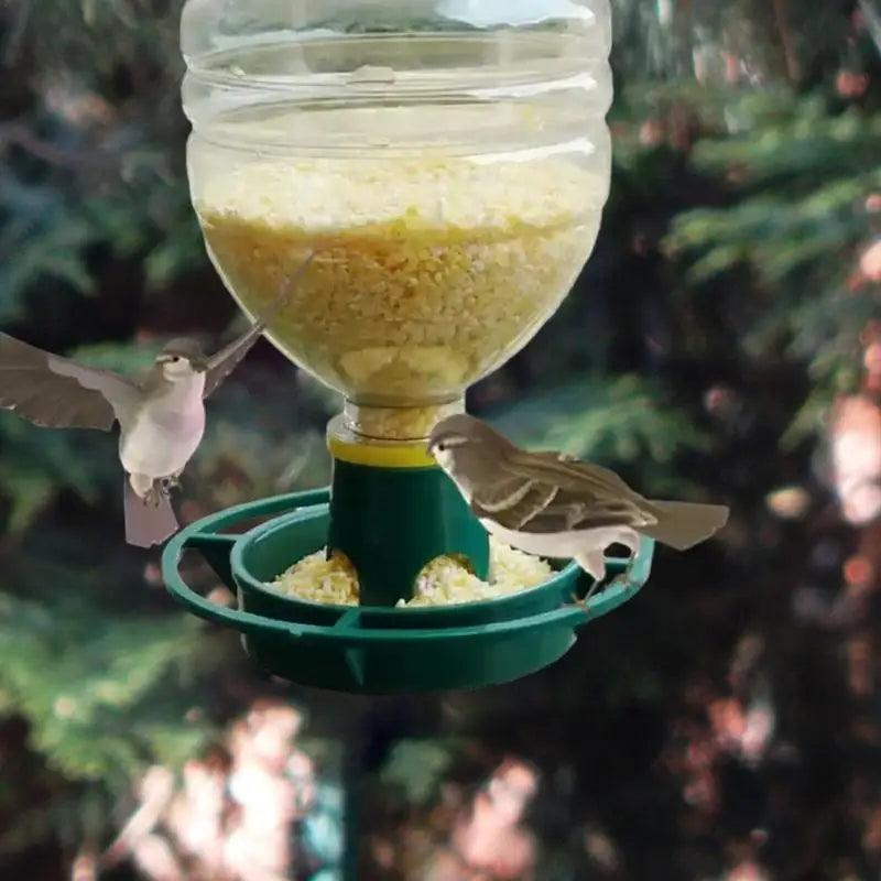 Automatic Bird Feeder Automatic Hygienic Wild Bird Feeders Bird Accessories Food Dispenser For Balconies Patios Courtyards - Ammpoure Wellbeing
