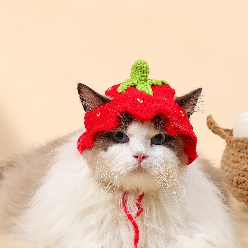 Autumn Winter Cat Hat Elastic Cute Refined Pet Hat Puppy Kittens Knitted Hat Party Photo Shoot Props Decoration Cat Accessories - Ammpoure Wellbeing