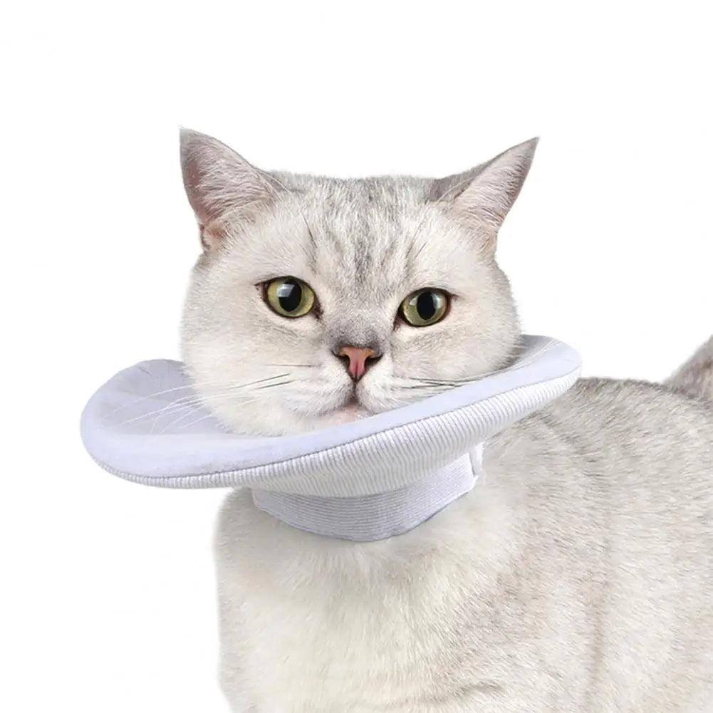 Cat Cone Collar Double Sided Use Fastener Tape Pet Recovery Collar Anti - Bite After Surgery Pet Cat Cone Collar Pet Supplies - Ammpoure Wellbeing