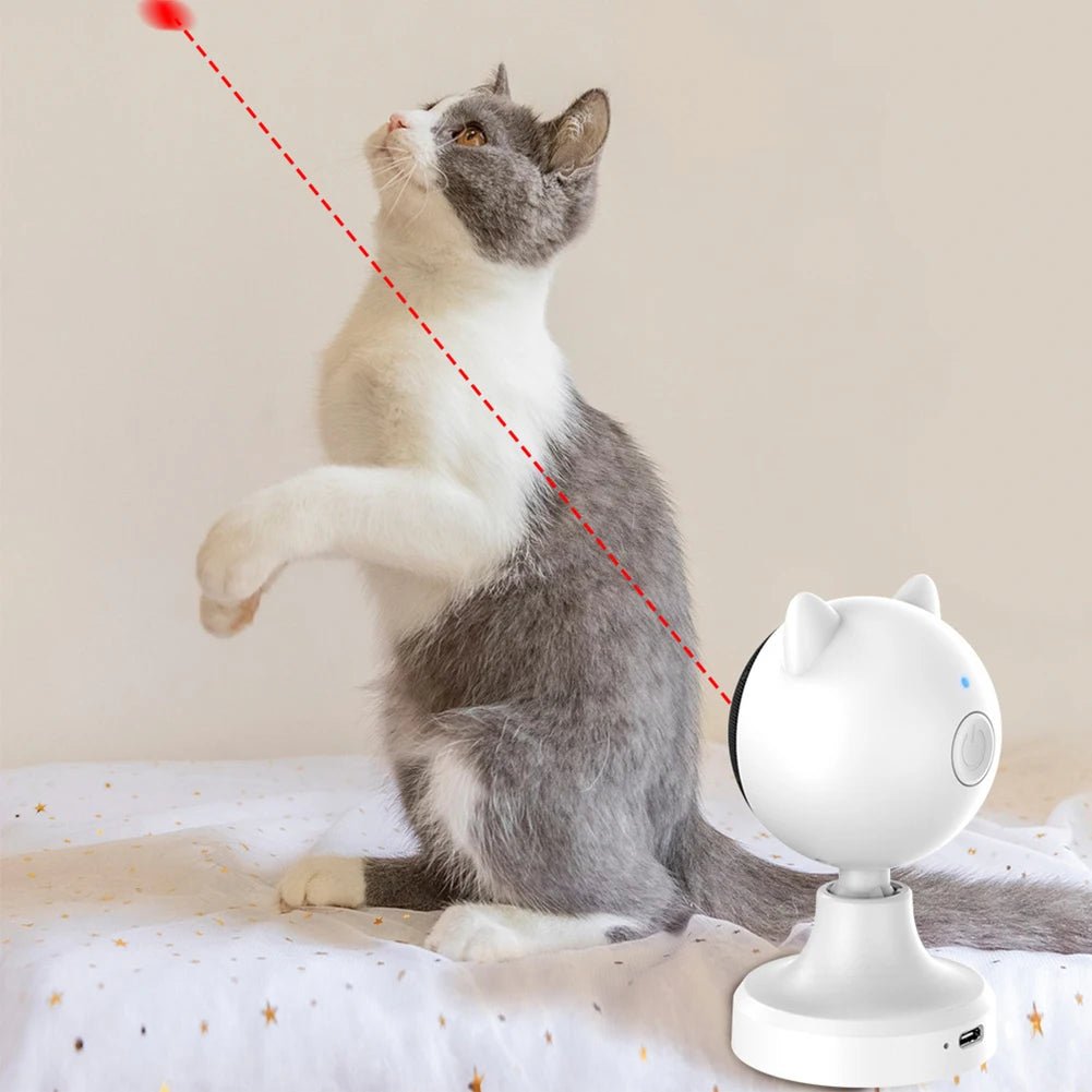 Cat Laser Toy Cat Red Dot Exercising Toys USB Rechargeable Interactive Cat Laser Toy 1200Mah Fast/Slow Mode Pet Supplies - Ammpoure Wellbeing