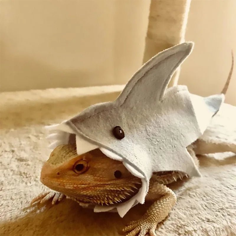 Cute Shark Shape Lizard Chameleon Shark Clothes Small Pet Clothes Gecko Costume for Bearded Dragon Reptiles Clothes Accessories - Ammpoure Wellbeing