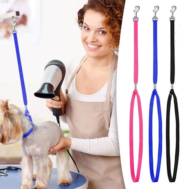 Dog Collar Pet Grooming Loops Safety Rope Leash Leads Dog Accessories Nylon Restraint Noose Solid Color Pet Supplies Adjustable - Ammpoure Wellbeing