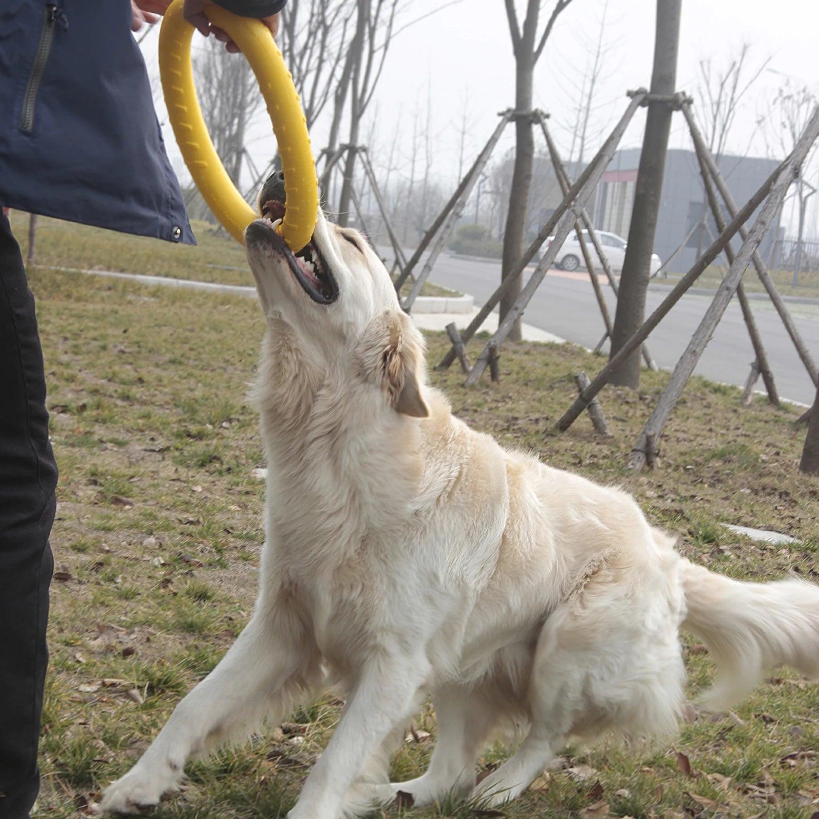 Dog Toy Flying Discs EVA Dog Training Ring Puller Resistant Bite Floating Toy Puppy Outdoor Interactive Ring Toy Pet Accessories - Ammpoure Wellbeing