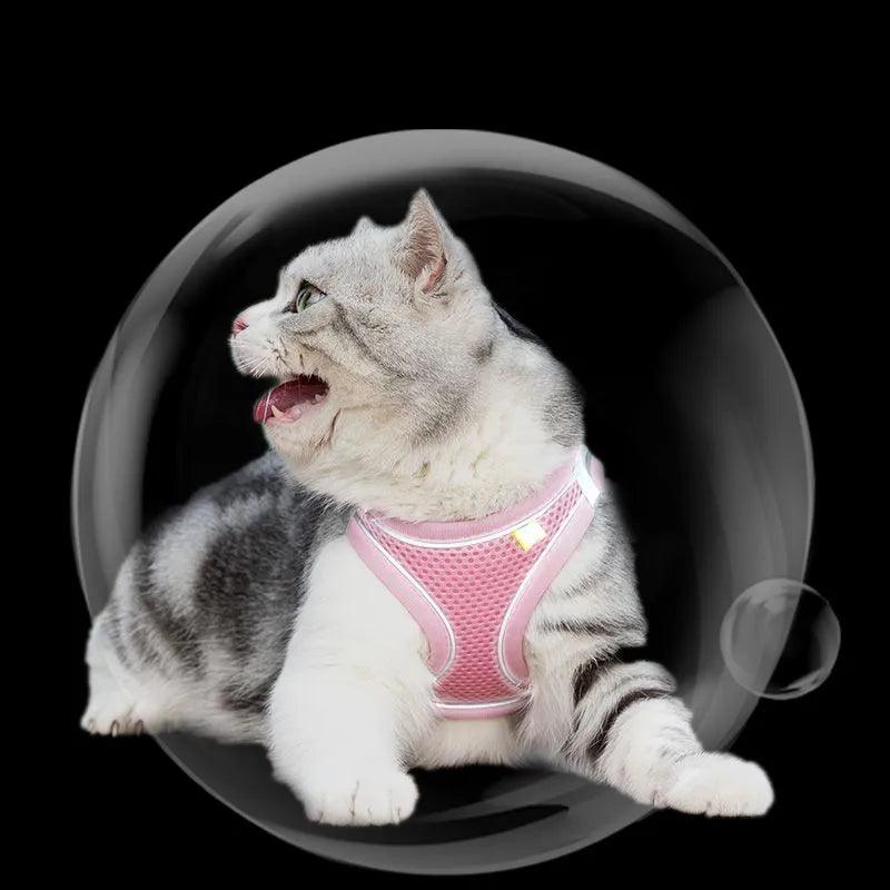 Escape Proof Cat Harness and Leash Set Adjustable Mesh Dog Harness Vest Puppy Pet Walking Lead Leash Small Dogs Cats Kitten XXS - Ammpoure Wellbeing