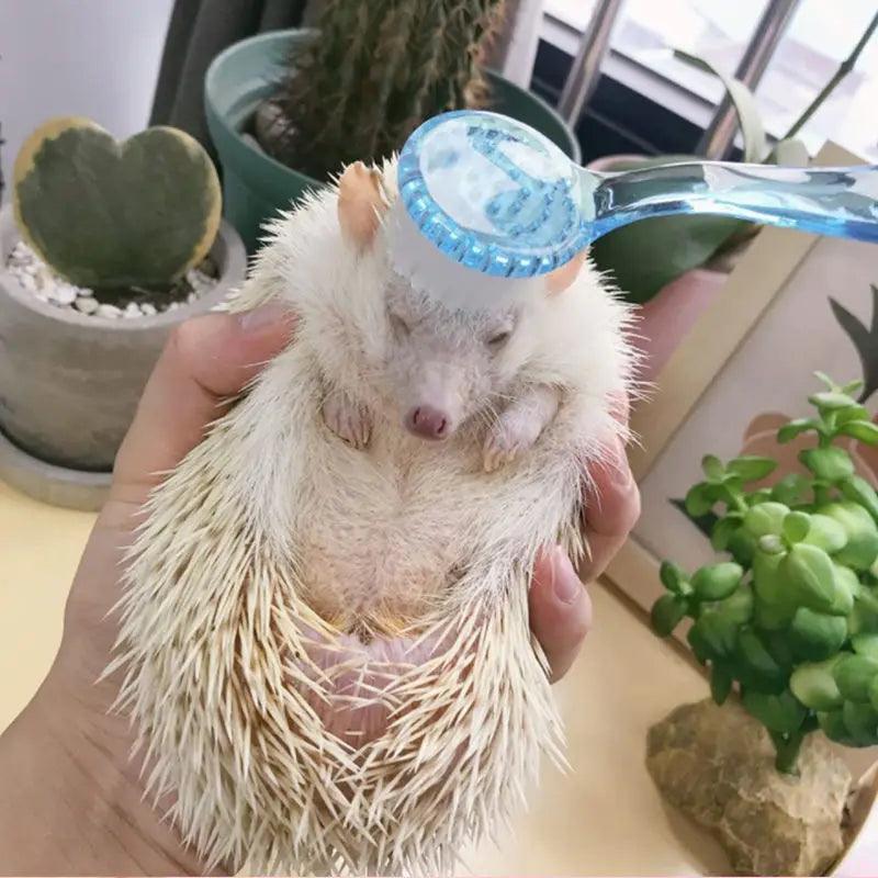 Hamster Brush Small Animal Bath Brush with Lid Soft Cleansing Brush Massage Combs for Hedgehog Guinea Pig Rabbit Chinchilla - Ammpoure Wellbeing