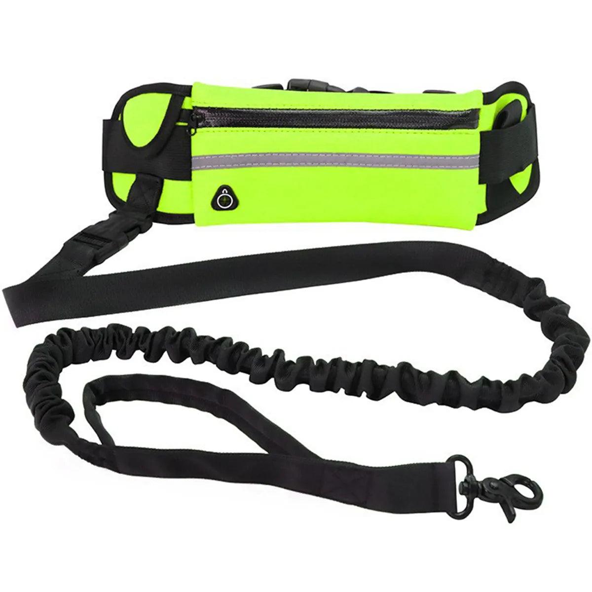 Hands Free Dog Leash for Running Walking Reflective Leash with Waist Bag Retractable Elastic Belt Dog Traction Rope Pet Products - Ammpoure Wellbeing
