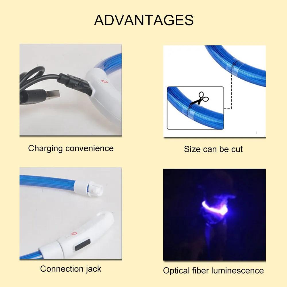 Led Dog Collar Luminous Usb Cat Dog Collar 3 Modes Led Light Glowing Loss Prevention LED Collar For Dogs Pet Dog Accessories - Ammpoure Wellbeing