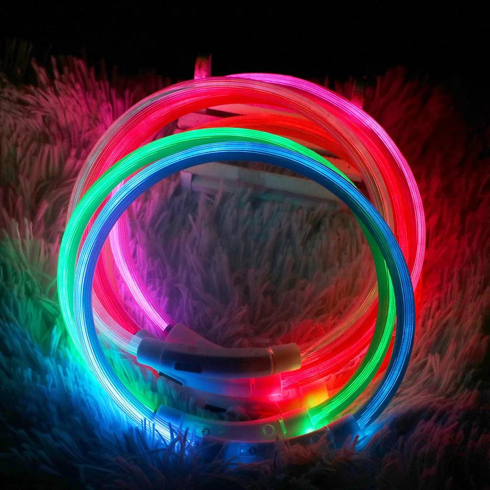 Led Dog Collar Luminous Usb Cat Dog Collar 3 Modes Led Light Glowing Loss Prevention LED Collar For Dogs Pet Dog Accessories - Ammpoure Wellbeing