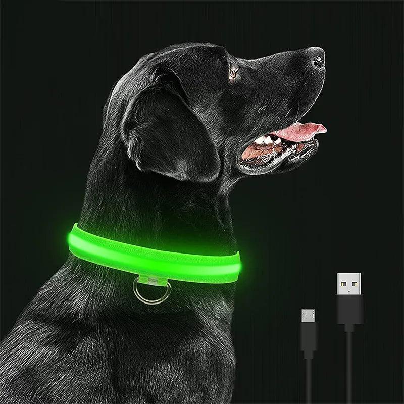 LED Glowing Dog Collars Rechargeable Waterproof Luminous Collar Adjustable Dog Night Light Collar Pet Dog Safety Necklace - Ammpoure Wellbeing