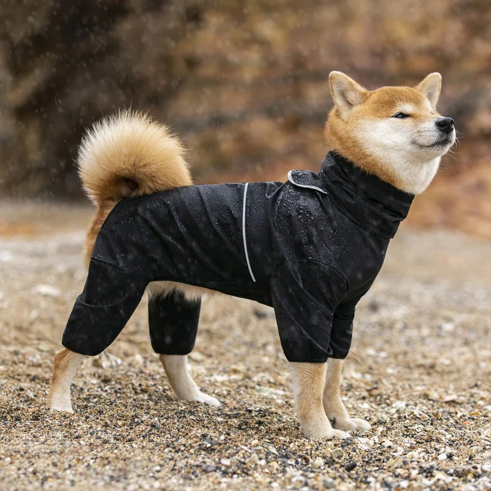 Medium And Large Dog Raincoat Labrador Golden Retriever Shiba Lnu Four Feet Waterproof Dog Clothes Anti Storm Coat Pet Raincoat - Ammpoure Wellbeing