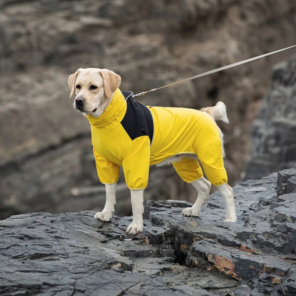 Medium And Large Dog Raincoat Labrador Golden Retriever Shiba Lnu Four Feet Waterproof Dog Clothes Anti Storm Coat Pet Raincoat - Ammpoure Wellbeing