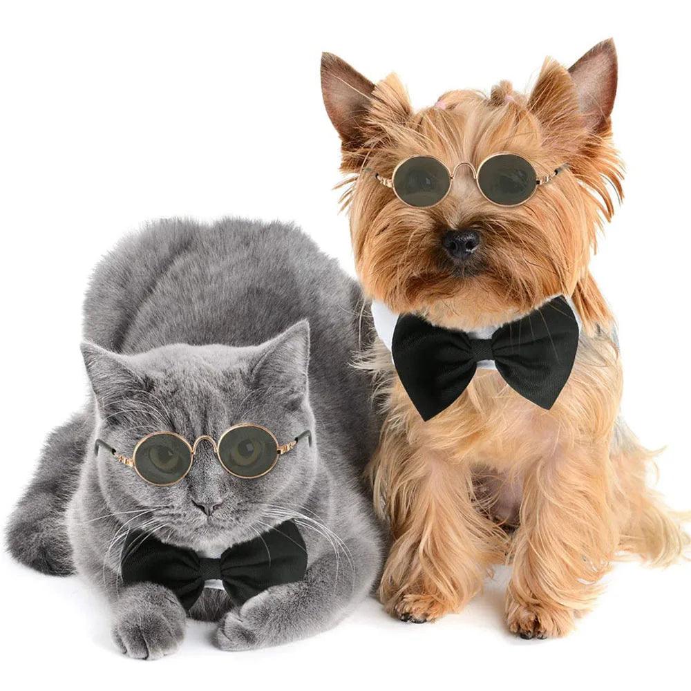 Pet Accessories Cat Glasses Non - slip Kitten Glasses Small Dog Sunglasses Puppy Kitty Cat Sunglasses Cosplay Costume Photos Props - Ammpoure Wellbeing