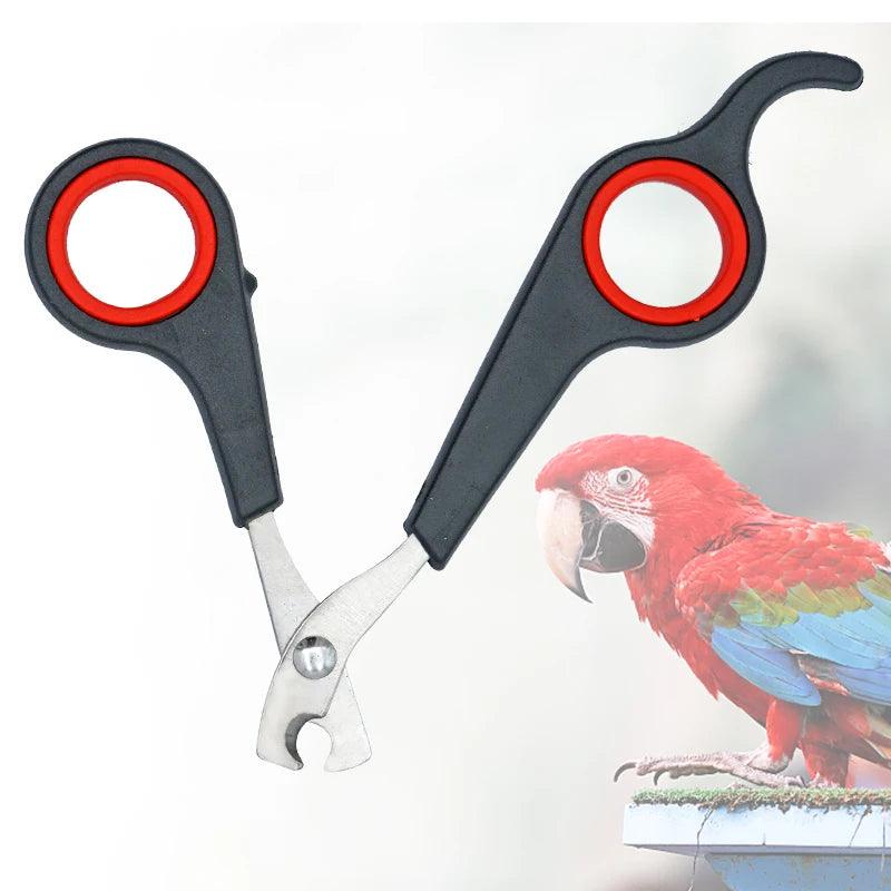 Pet Bird Parrot Small Animals Accessory Grooming Tool Nail Scissors Clipper Black And Red - Ammpoure Wellbeing