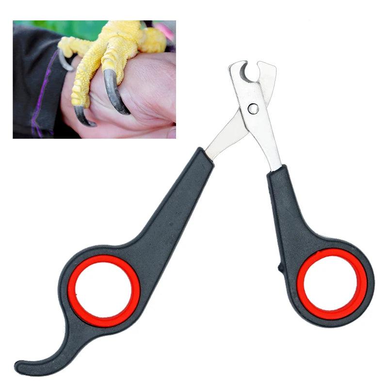 Pet Bird Parrot Small Animals Accessory Grooming Tool Nail Scissors Clipper Black And Red - Ammpoure Wellbeing