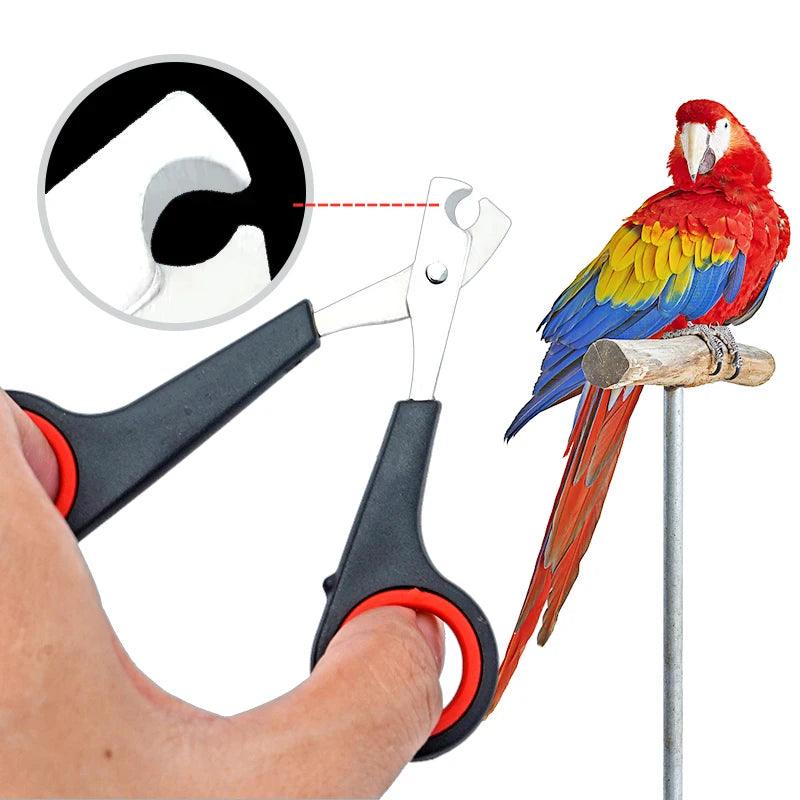 Pet Bird Parrot Small Animals Accessory Grooming Tool Nail Scissors Clipper Black And Red - Ammpoure Wellbeing