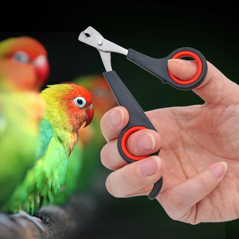 Pet Bird Parrot Small Animals Accessory Grooming Tool Nail Scissors Clipper Black And Red - Ammpoure Wellbeing