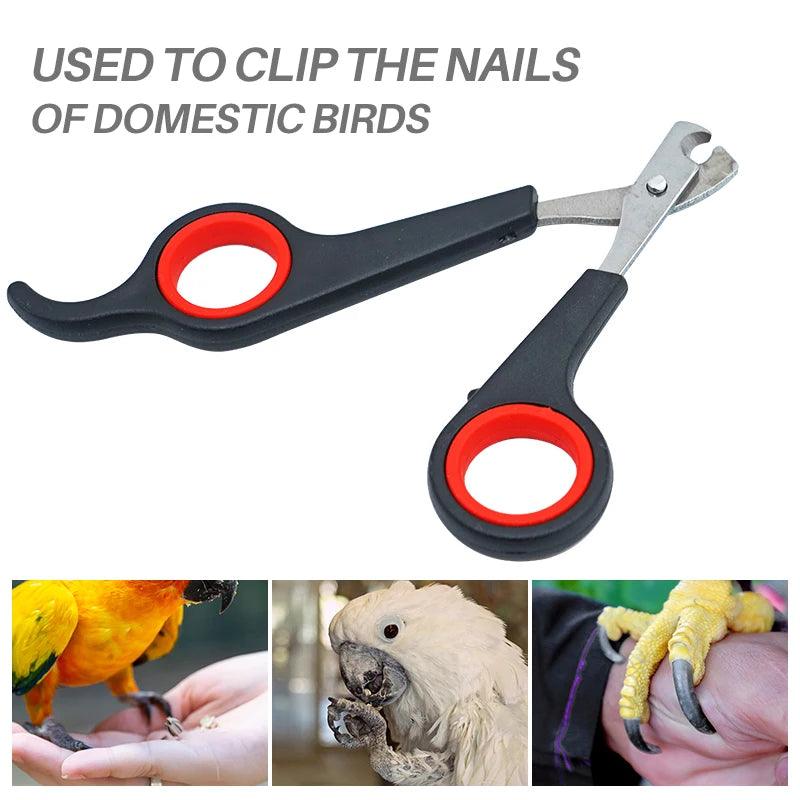 Pet Bird Parrot Small Animals Accessory Grooming Tool Nail Scissors Clipper Black And Red - Ammpoure Wellbeing