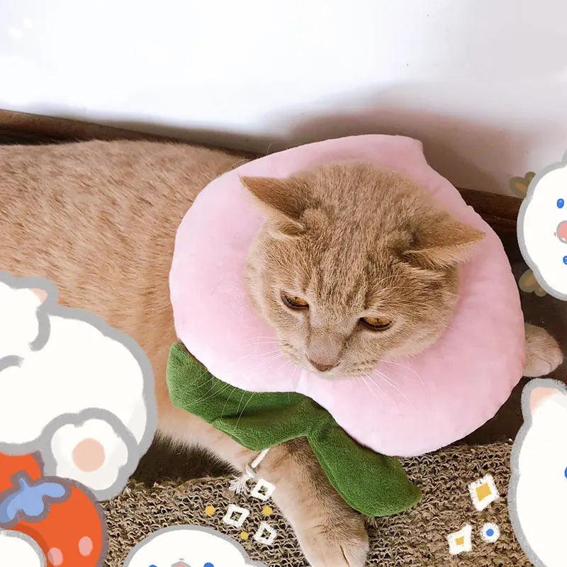 Pet Cat Dog Elizabeth Circle Collar Fruit Shape Cotton Adjustable Postoperative Protection Anti - Scratch Biting Pet Head Cover - Ammpoure Wellbeing