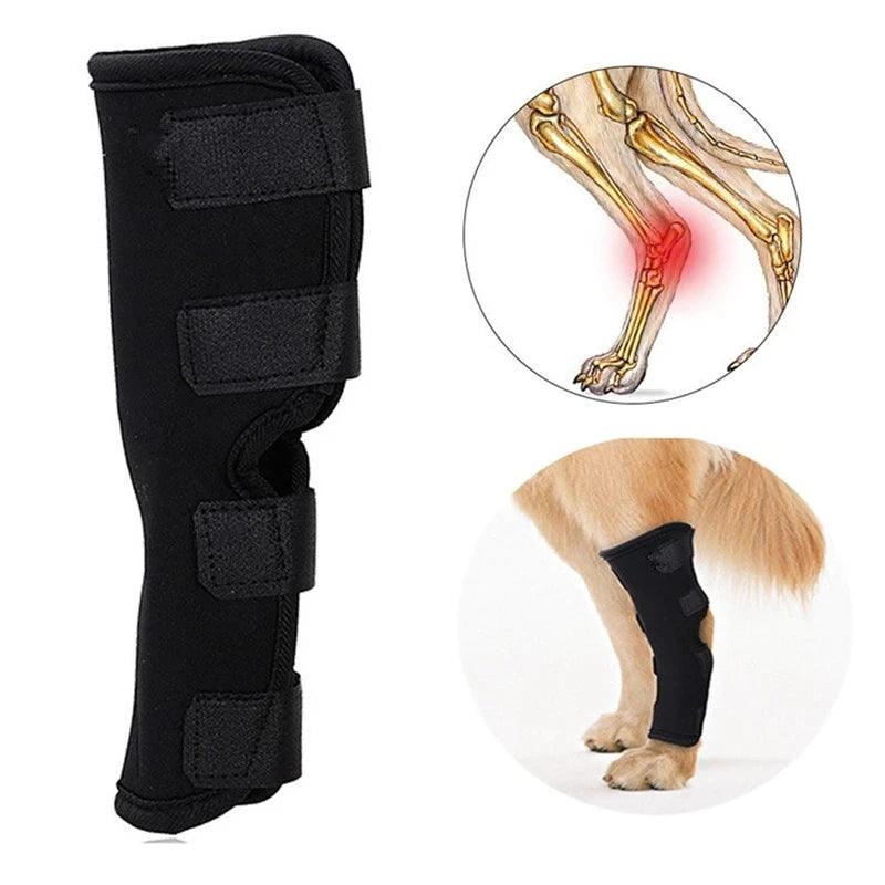 Pet Knee Pads Dog Support Brace For Leg Injury Recover Hock Joint Wrap Breathable Dog Legs Protector Support Health - Ammpoure Wellbeing