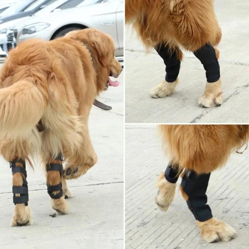 Pet Knee Pads Dog Support Brace For Leg Injury Recover Hock Joint Wrap Breathable Dog Legs Protector Support Health - Ammpoure Wellbeing