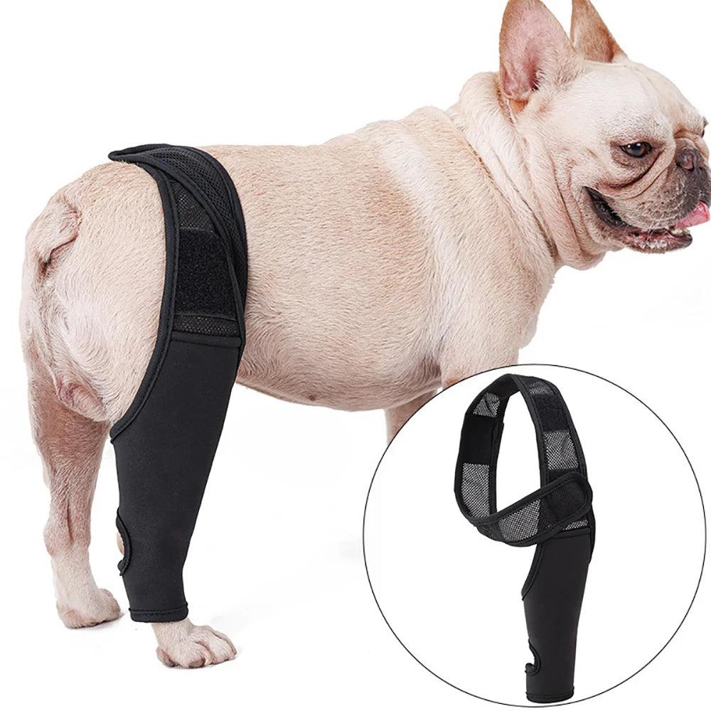 Pet Knee Pads Dog Support Brace For Leg Injury Recover Hock Joint Wrap Breathable Dog Legs Protector Support Health - Ammpoure Wellbeing