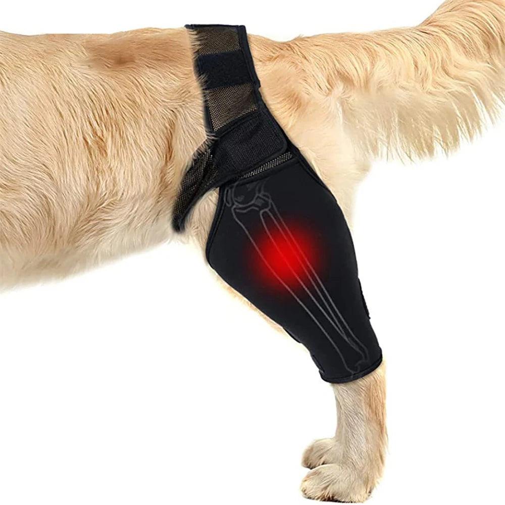 Pet Knee Pads Dog Support Brace For Leg Injury Recover Hock Joint Wrap Breathable Dog Legs Protector Support Health - Ammpoure Wellbeing