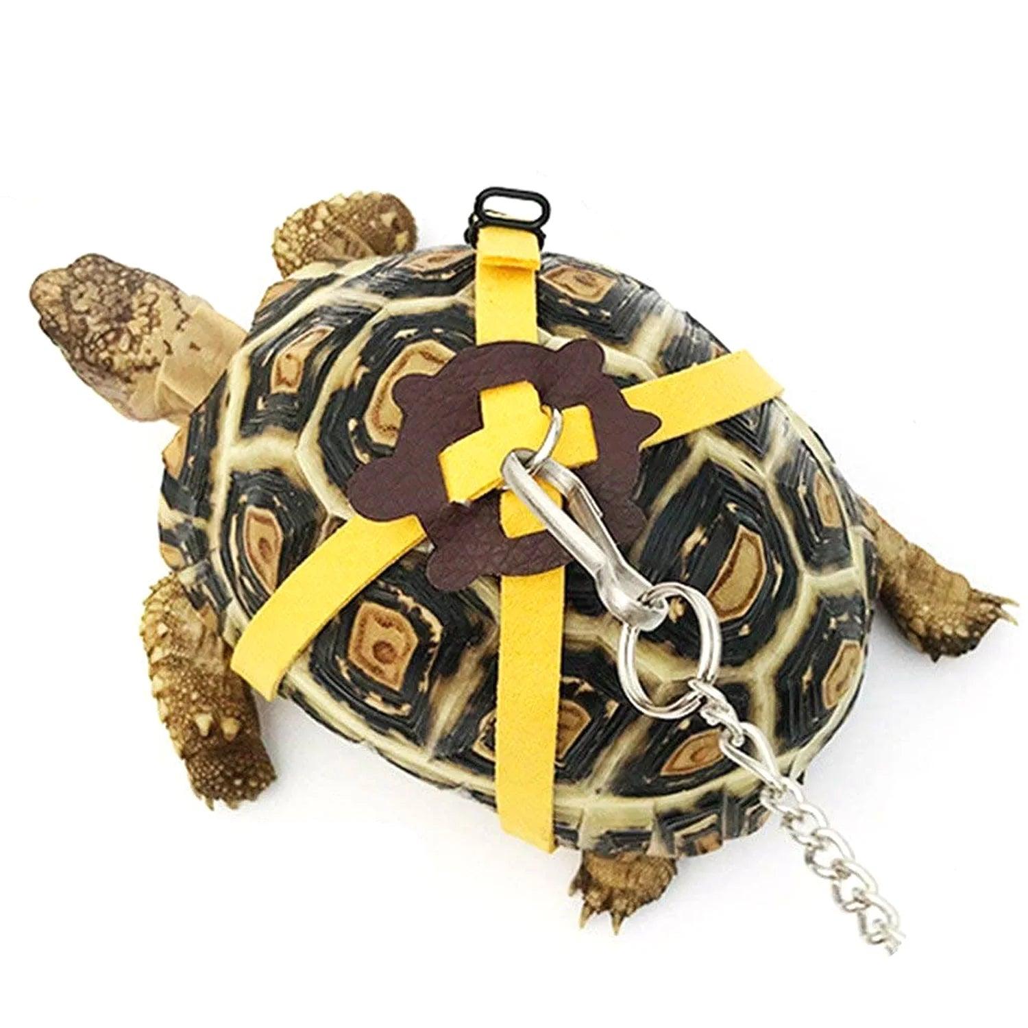 Pet Tortoise Turtle Leather Harness Strap Adjustable Turtle Lizard Strap Collar Walking Leash Control Rope - Ammpoure Wellbeing