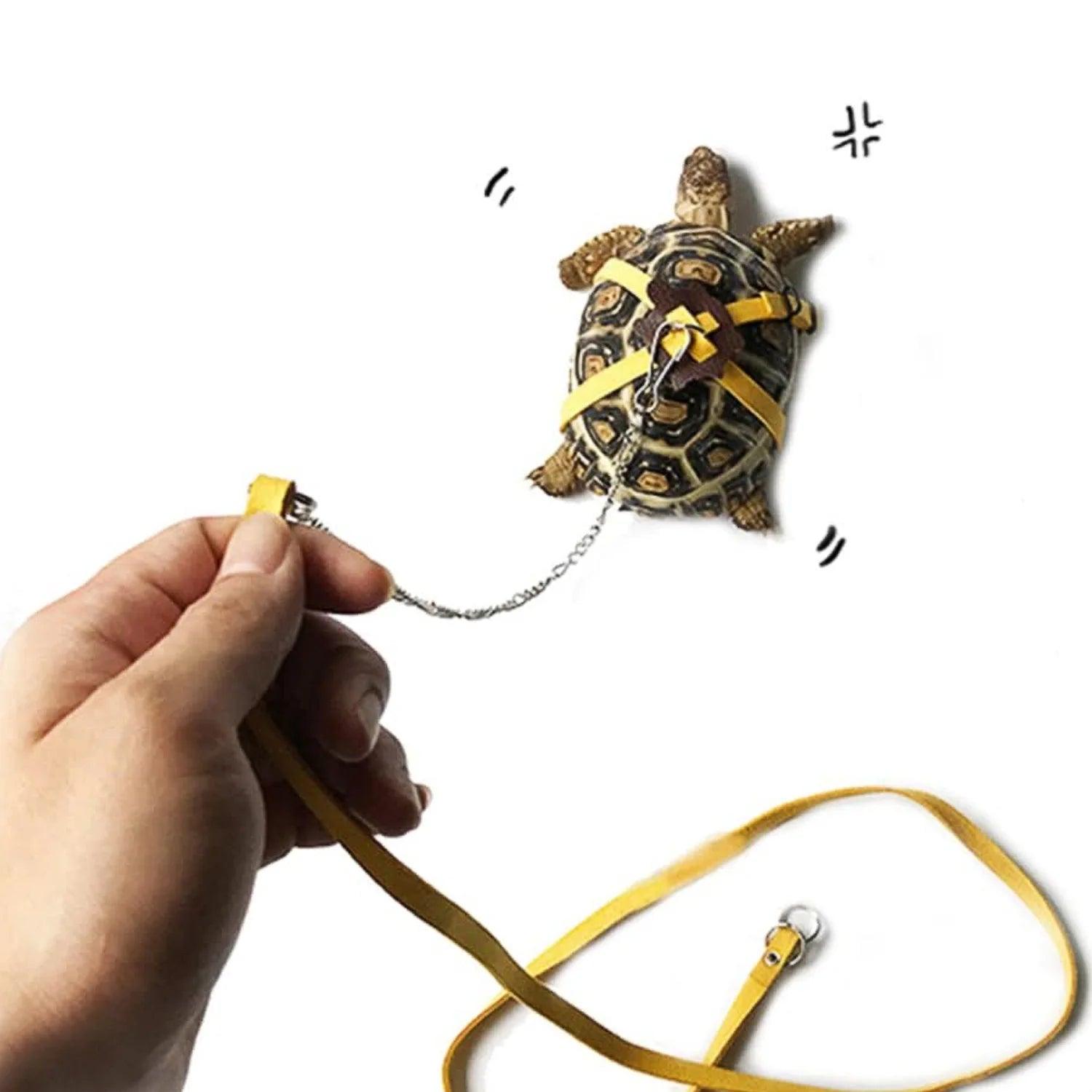 Pet Tortoise Turtle Leather Harness Strap Adjustable Turtle Lizard Strap Collar Walking Leash Control Rope - Ammpoure Wellbeing