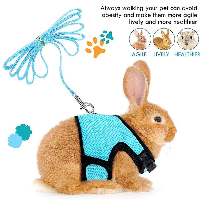 Puppy Bowknot Chest Strap Pet Rabbit Harness Vest and Leash Set For Ferret Guinea Pig Bunny Hamster Harness Pet Supplies - Ammpoure Wellbeing