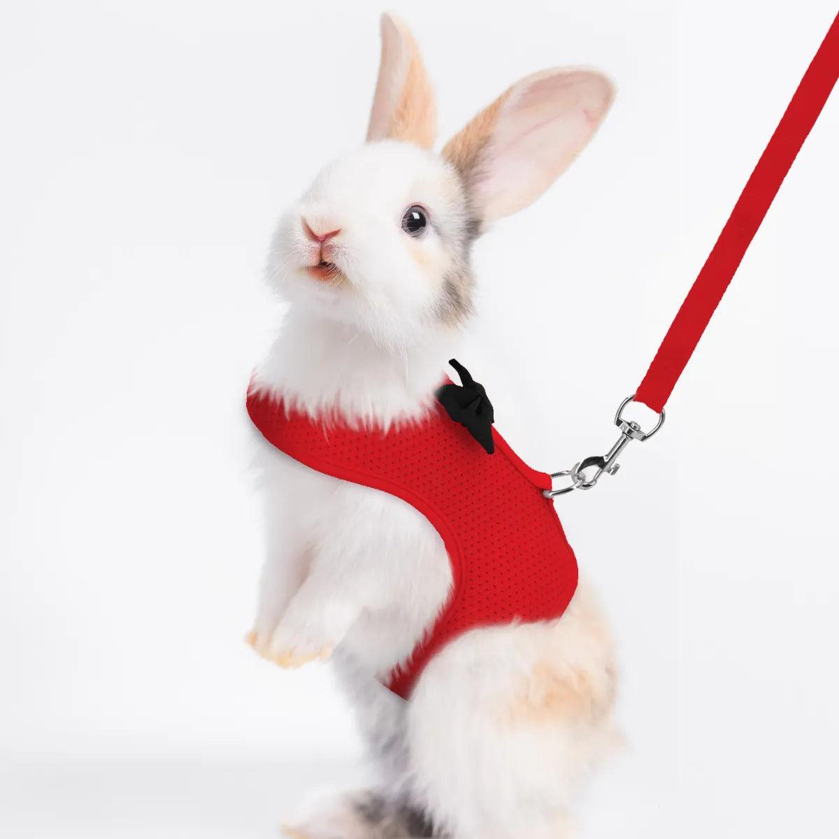 Rabbit Harness Soft Mesh Small Pet No Pull Comfort Padded Vest for Bunny Guinea Pigs Squirrels and Other Small Animal - Ammpoure Wellbeing