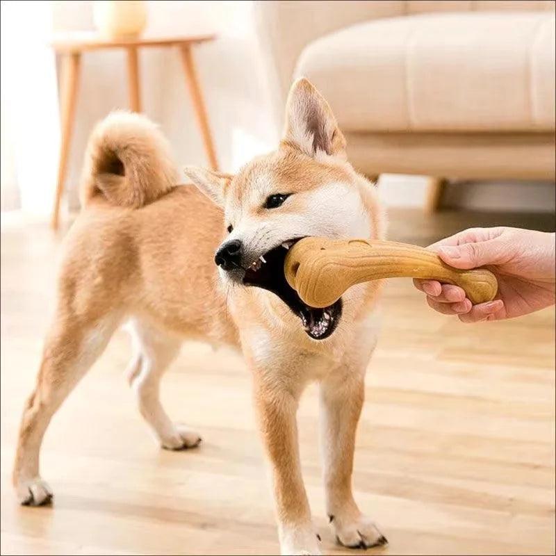 Real Wooden Deer Antlers Dog Chew Toys for Aggressive Chewers Large Dog Chewing Stick Indestructible Tough Durable Pet Toys - Ammpoure Wellbeing