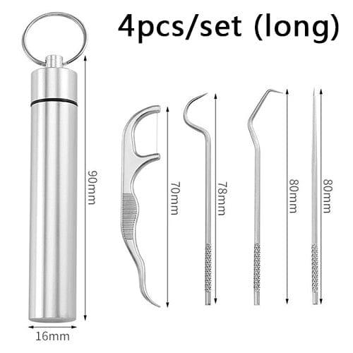 Stainless Steel Toothpick Set Tooth Flossing Reusable Toothpicks Portable Toothpick Floss Teeth Cleaner Oral Cleaning - Ammpoure Wellbeing