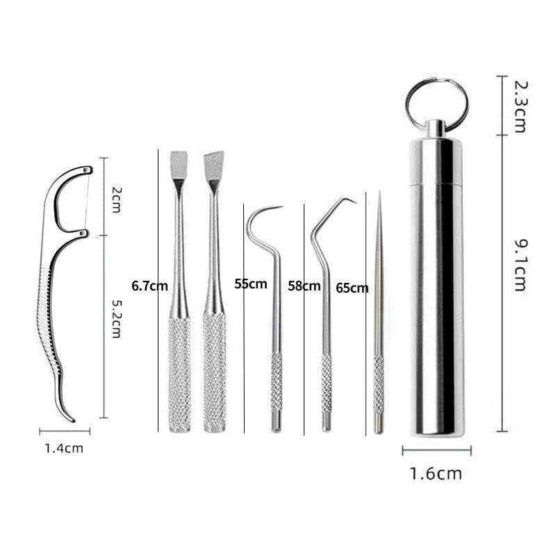 Stainless Steel Toothpick Set Tooth Flossing Reusable Toothpicks Portable Toothpick Floss Teeth Cleaner Oral Cleaning - Ammpoure Wellbeing