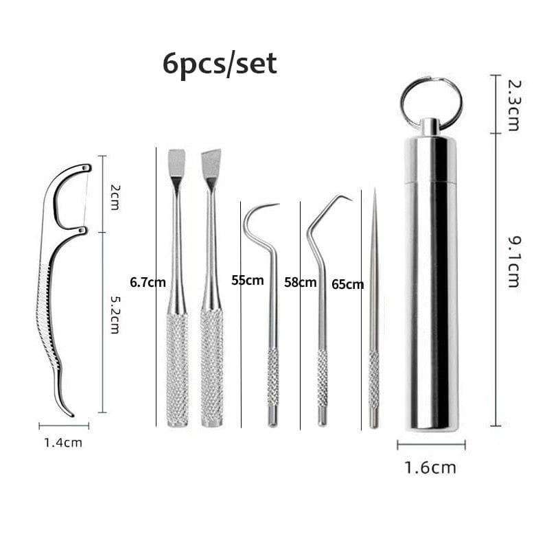 Stainless Steel Toothpick Set Tooth Flossing Reusable Toothpicks Portable Toothpick Floss Teeth Cleaner Oral Cleaning - Ammpoure Wellbeing