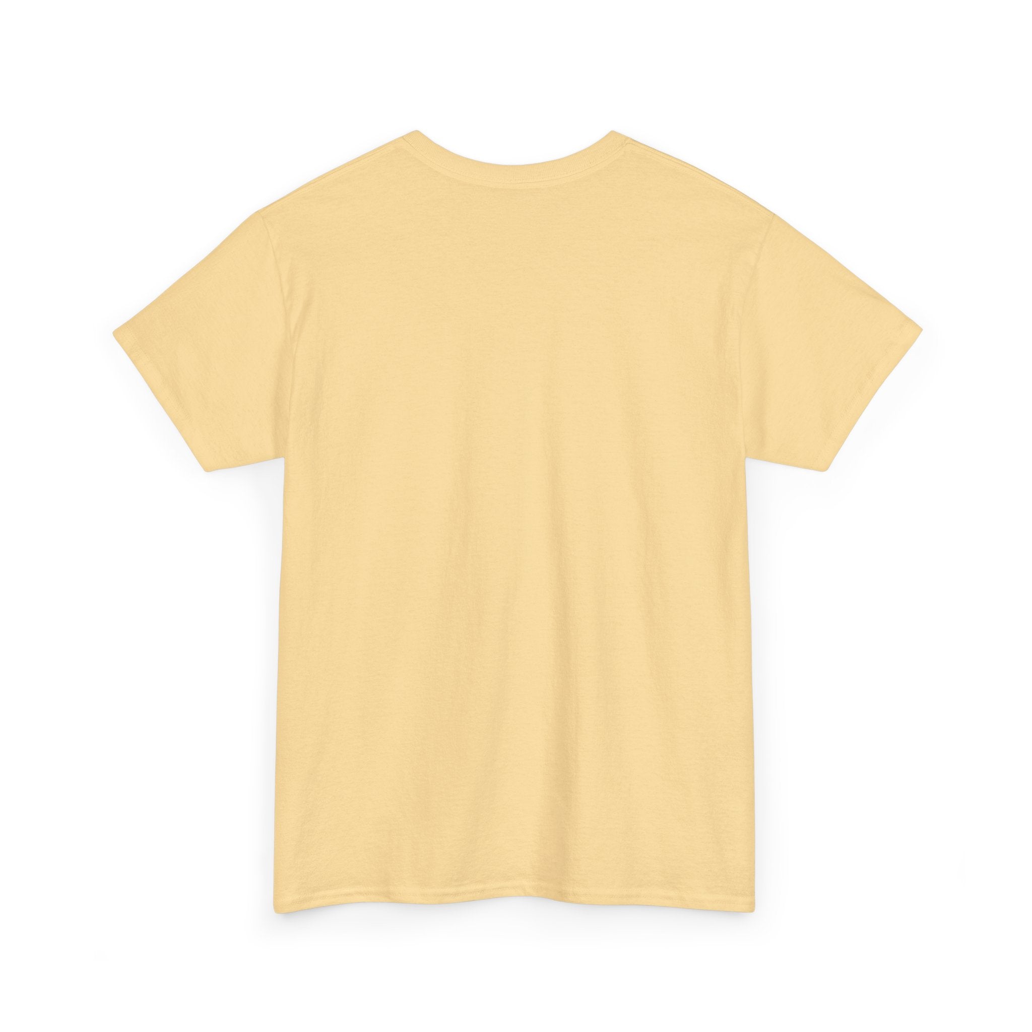 Unisex Heavy Cotton Tee - Ammpoure Wellbeing