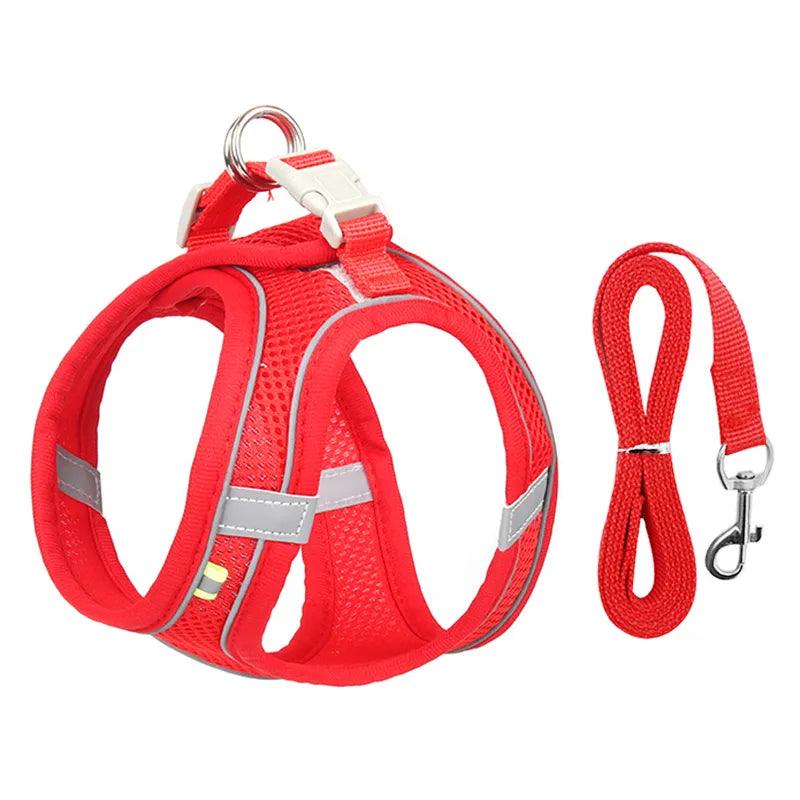 Wholesale UK Cat dog harness Pet Walking Lead Leash Small Dogs Cats Kitten XXS Bulk - Ammpoure Wellbeing